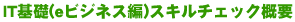 �����IT��b(e�r�W�l�X��)�X�L���`�F�b�N�T�v