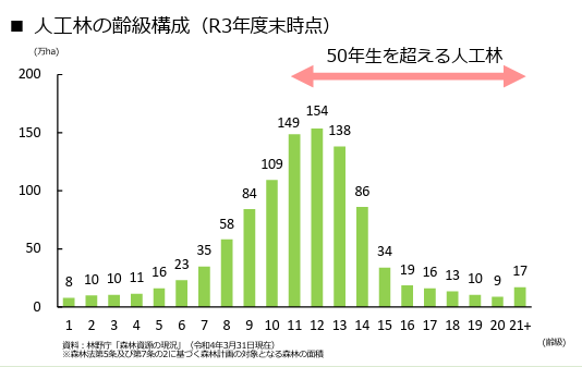 人工林の齢級構成