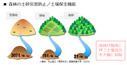 土砂災害防止／土壌保全機能