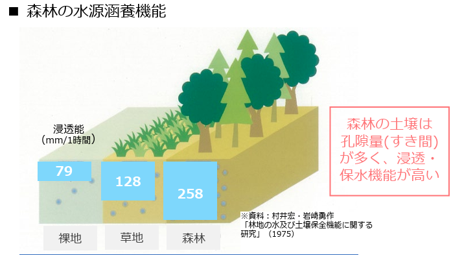 森林の水源涵養機能