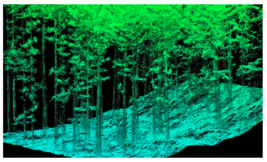 森林内部を3次元デジタルデータ化