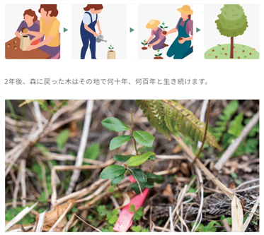 ソマノベースの「MODRINAE（モドリナエ）」