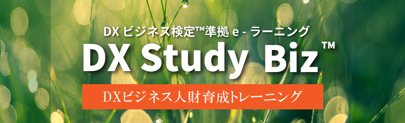 dxstudybizメインビジュアル